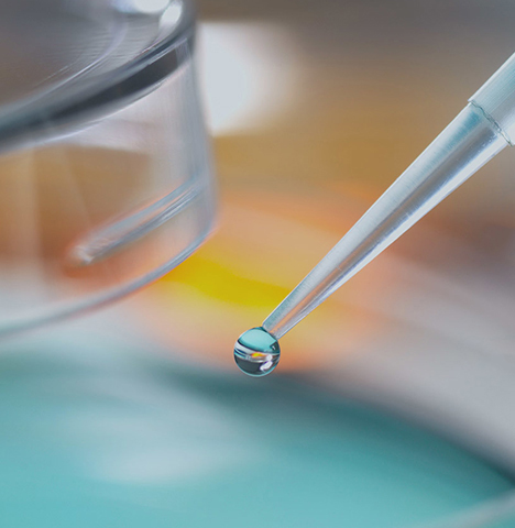 Productos químicos finos