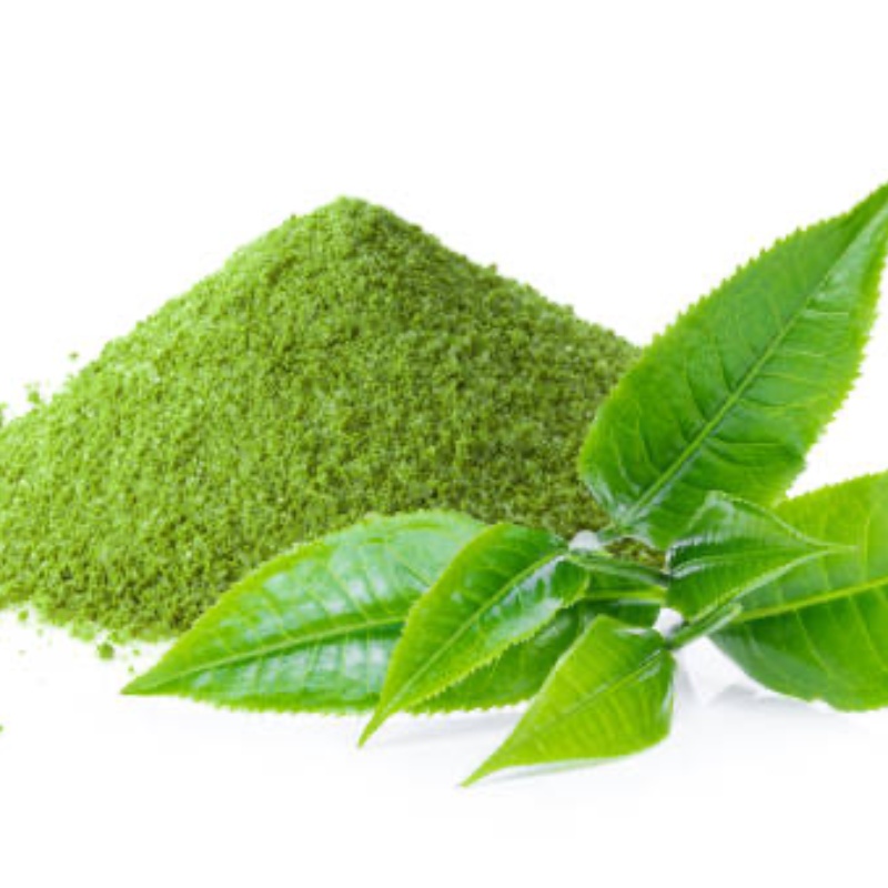 Buy Green Tea Extract Powder Online