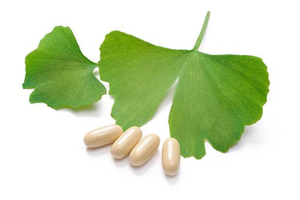 Extracto de Ginkgo Biloba en Polvo: Esencia Vegetal Estandarizada que Potencia la Salud Cerebral, Cognitiva y Cardiovascular.